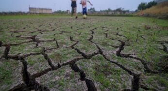 Darurat Kekeringan di Yogyakarta: Ribuan Hektare Lahan Alami Puso